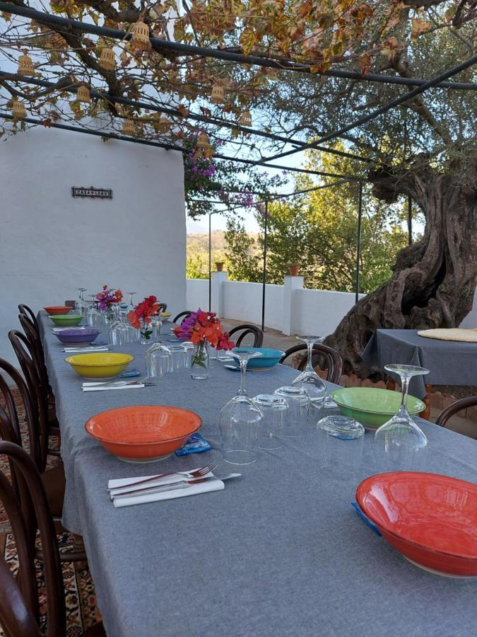 Casa Loko Bed & Breakfast